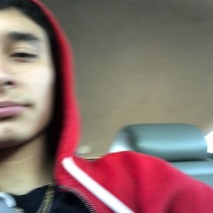 Meet your Posher, Oscar